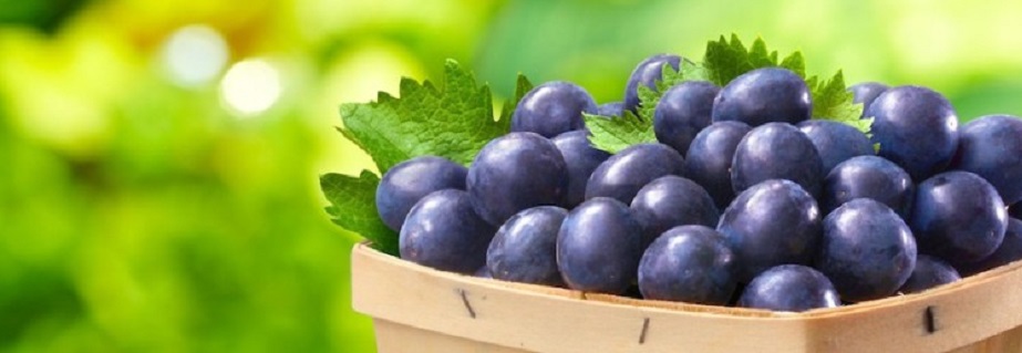 Лучший виноград, произведенный в Египте